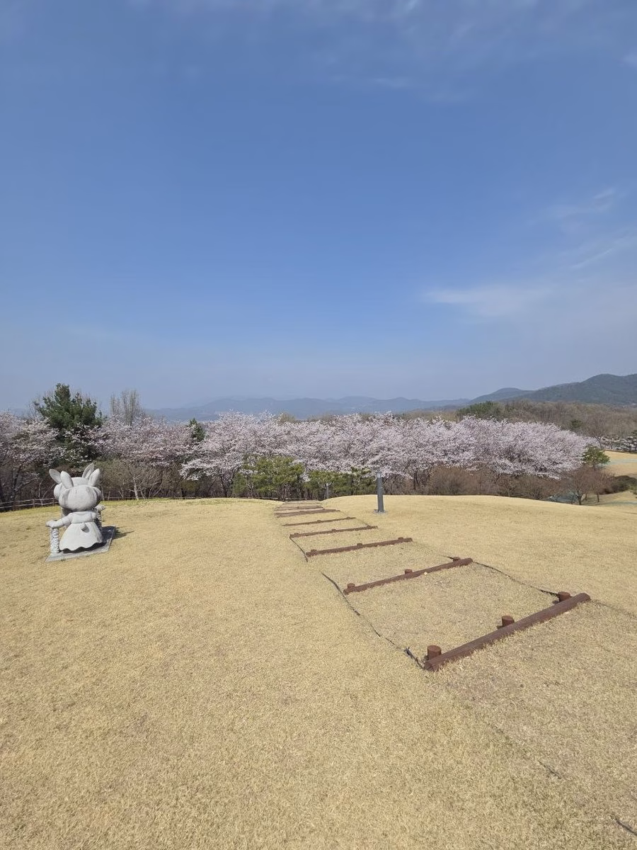 창녕 문화공원 봄