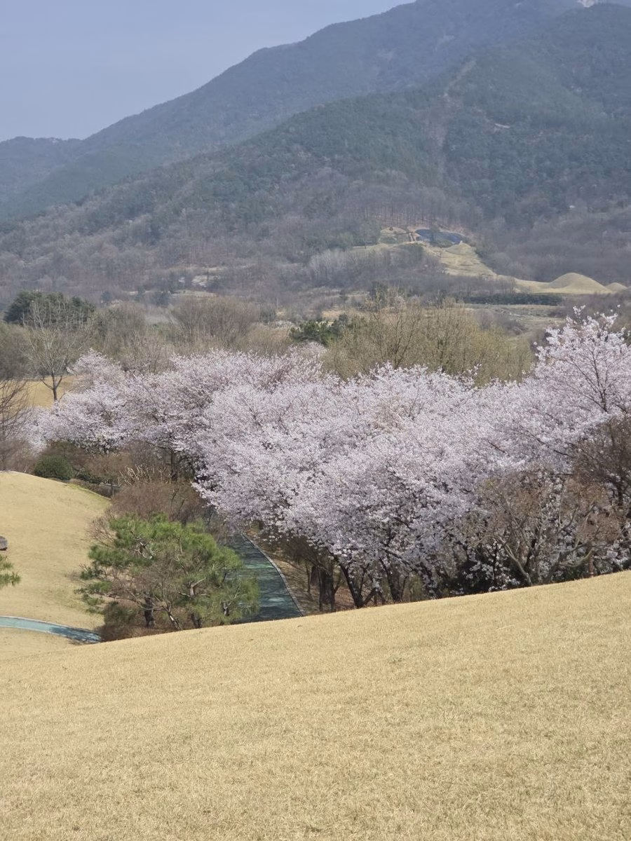 창녕 문화공원 정자