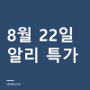 알리 특가 정리 8월 22일 — 이어폰·전동드라이버·에어펌프 12종 8월 22일 알리 특가