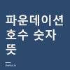 파운데이션 호수 숫자 뜻 — 13호·21호·23호가 나타내는 것과 21N·21C 글자의 의미 파운데이션 호수 숫자 뜻 — 13호·21호·23호가 나타내는 것과 21N·21C 글자의 의미