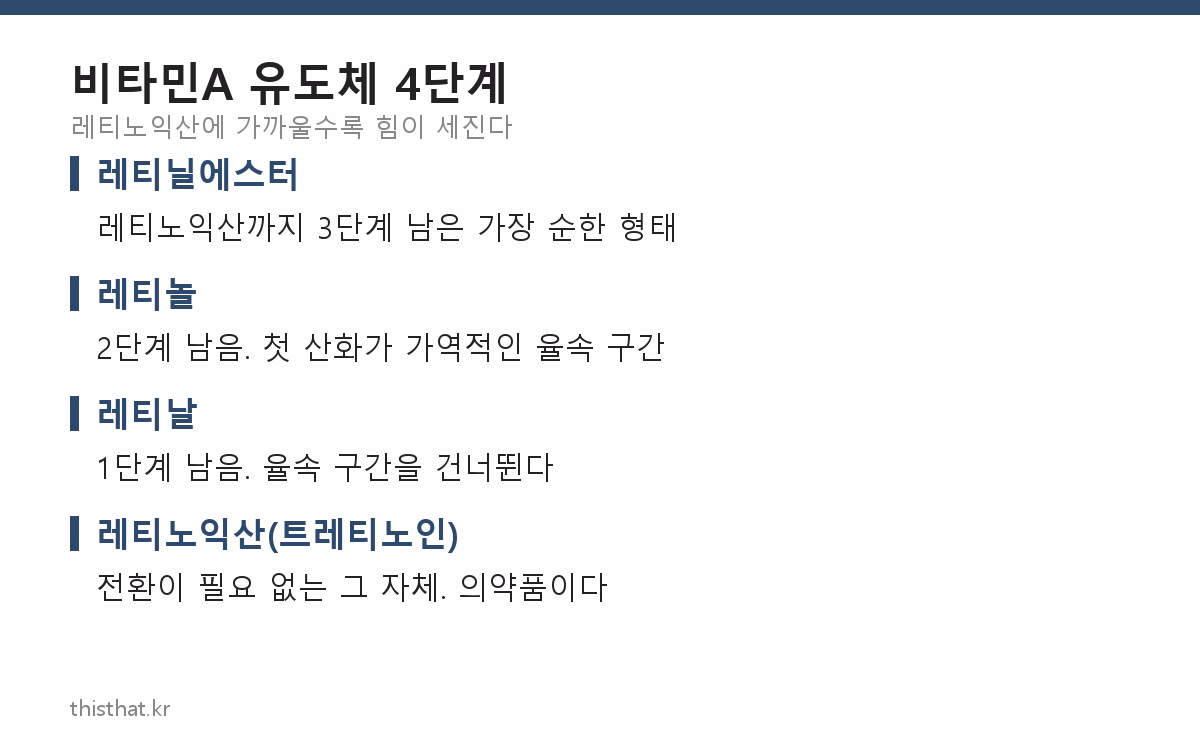 비타민A 유도체 4단계를 정리한 도표