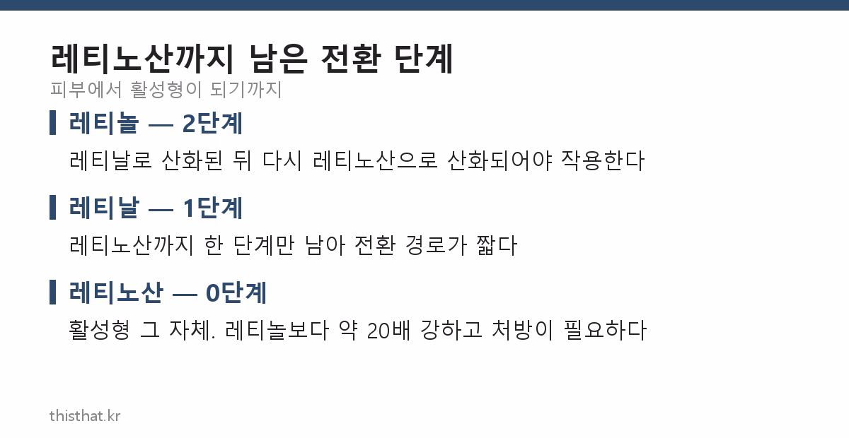 레티놀 레티날 레티노산의 전환 단계 비교